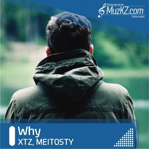 XTZ, MEITOSTY - Why скачать
