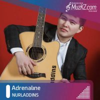 NURLADDINS - Adrenaline