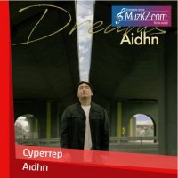 Aidhn - Суреттер