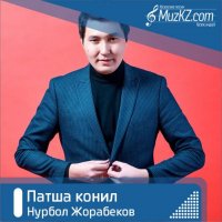 Нурбол Жорабеков - Патша конил
