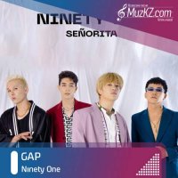 Ninety One - GAP