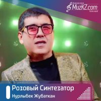 Нурлыбек Жубаткан - Розовый Синтезатор