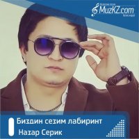 Назар Серик - Биздин сезим лабиринт