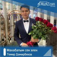 Темир Дамирбеков - Махабатым сен элен